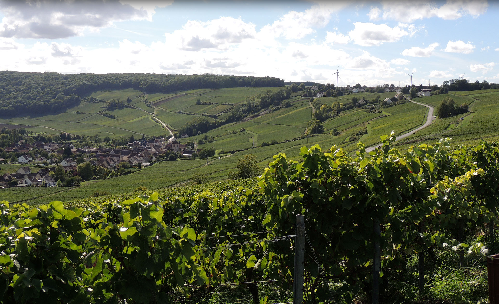 Domaine Champagne Christophe Lefèvre